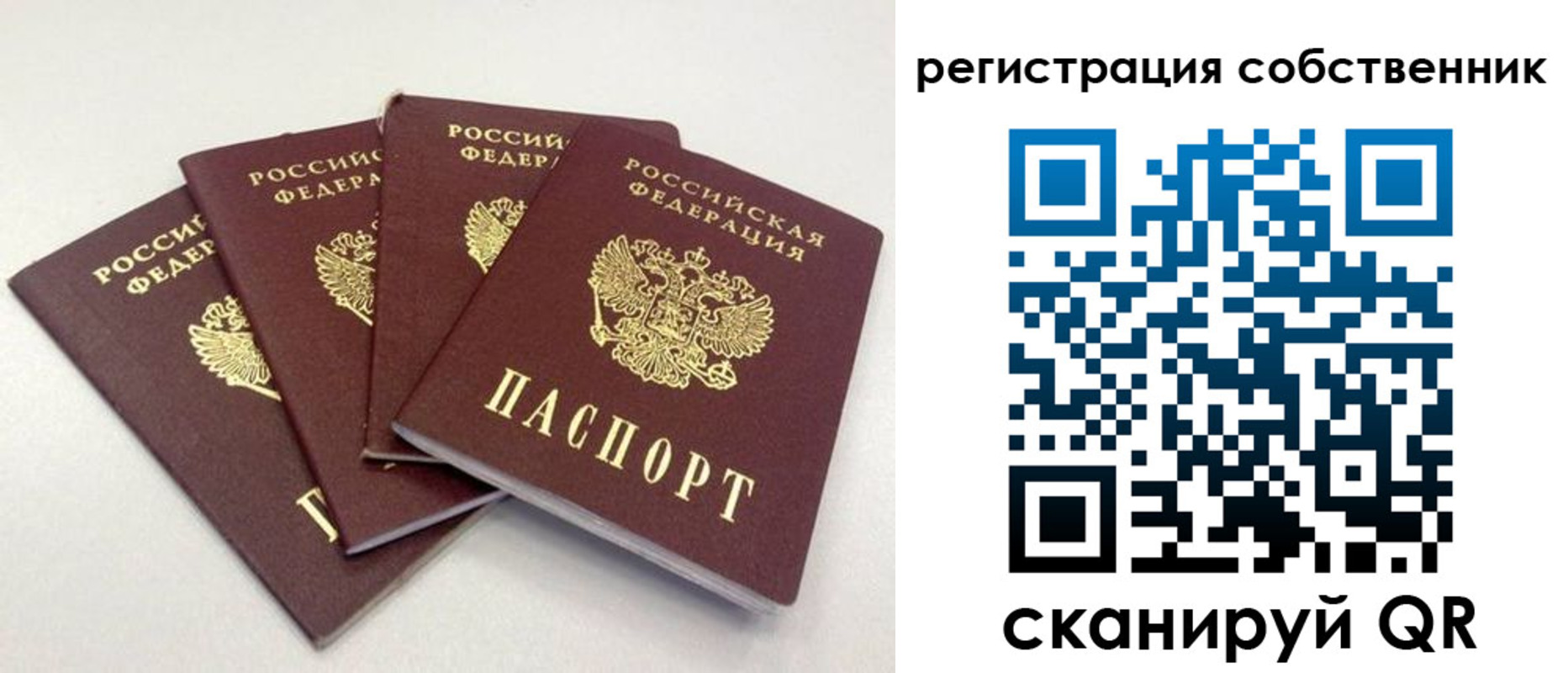 прописка для школы в Гае